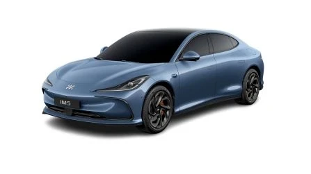 100 Performance Vehicle Trim